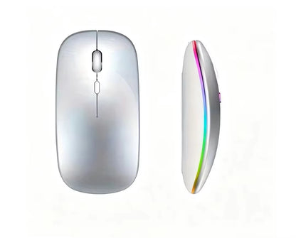2.4Ghz Rechargeable Wireless Mouse Quiet Ergonomic 1600DPI Optical Mice with USB Receiver for Laptop PC Notebook